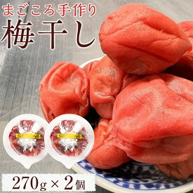 【ふるさと納税】宮城県角田産【無添加】まごころ手作り梅干し(270g)×2個｜梅干し 田舎の梅干し すっぱい 梅干 うめぼし | 手作り 梅干 うめぼし うめ干し 塩分 すっぱい お試し お取り寄せ 国産 人気 おすすめ 宮城