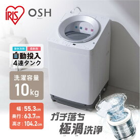 【ふるさと納税】洗濯機 全自動電気洗濯機 10kg TCW-100A02-W ホワイト