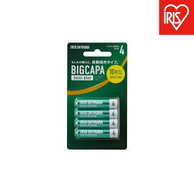 【ふるさと納税】【4本×12パック】BIGCAPA basic+ 単4アルカリ乾電池4本ブリスターパック　LR03Bbp/4B