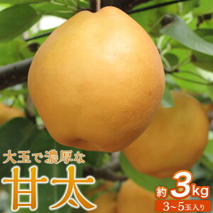 yӂ邳Ɣ[ŁzuÑv3kgi3`5ʓj10{`yʎz | t[c ʕ  Hi lC 