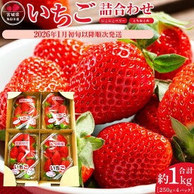 【ふるさと納税】【先行予約　JAみやぎ仙南】【容量選択可能】宮城県角田市産いちご　にこにこベリー・とちおとめ詰合せ　合計約500g or 1kg【2026年1月初旬より順次配送】 | イチゴ 苺 フルーツ 果物 くだもの 食品 人気 おすすめ 送料無料