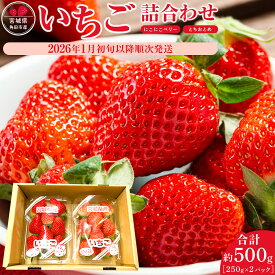 【ふるさと納税】【先行予約　JAみやぎ仙南】【容量選択可能】宮城県角田市産いちご　にこにこベリー・とちおとめ詰合せ　合計約500g or 1kg【2026年1月初旬より順次配送】 | イチゴ 苺 フルーツ 果物 くだもの 食品 人気 おすすめ 送料無料