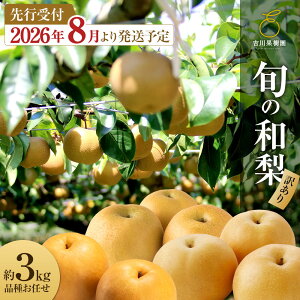 �y�ӂ邳�Ɣ[�Łz�y��s�\��i2026�N�������j�z�y�󂠂�z �� �a�� ��3kg �Ȃ� �i�V �t���[�c �ʕ� �������� ��Ȃ� �a�� �H�i �������� �������� �Â� �������� ���Y �{�錧�Y �g��ʎ��� ��