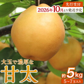 【ふるさと納税】【2026年発送／先行予約】梨「甘太」約5kg（5～7玉入）【松崎果樹園】｜梨 ナシ こだわりの梨 フルーツ 果物 旬の梨 宮城県角田市 約5kg | フルーツ 果物 くだもの 食品 人気 おすすめ 送料無料