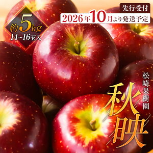 �y�ӂ邳�Ɣ[�Łz�y2026�N�����^��s�\��z�u�H�f�v��5kg�i14�`16�ʁj�y����ʎ����z | �t���[�c �ʕ� �������� �H�i �l�C �������� ��������