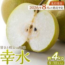 【ふるさと納税】【2026年発送／先行予約】梨「幸水」約4kg（8～10玉入）【松崎果樹園】 | フルーツ 果物 くだもの 食品 人気 おすすめ