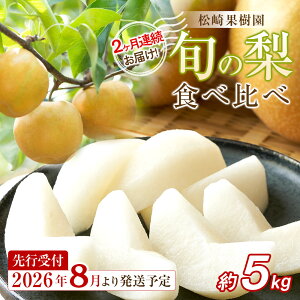 �y�ӂ邳�Ɣ[�Łz�y2026�N�����^��s�\��z�� 2�����A�����͂� �{�̗��H�ה�� ��5kg�y����ʎ����z�b�� �i�V �������̗� �t���[�c �ʕ� �{�̗� �{�錧�p�c�s ��5kg 2�� ����� | �t���[�c ��