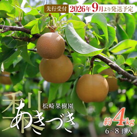 【ふるさと納税】【2026年発送／先行予約】梨「あきづき」約4kg（6～8玉入）【松崎果樹園】 | フルーツ 果物 くだもの 食品 人気 おすすめ