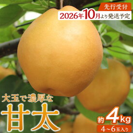 【ふるさと納税】【2026年発送／先行予約】梨「甘太」約4kg（4～6玉入）10月中旬～順次発送【松崎果樹園】 | フルーツ 果物 くだもの 食品 人気 おすすめ