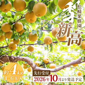 【ふるさと納税】【2026年発送／先行予約】梨「新高」約4kg（4～6玉入）【松崎果樹園】 | フルーツ 果物 くだもの 食品 人気 おすすめ