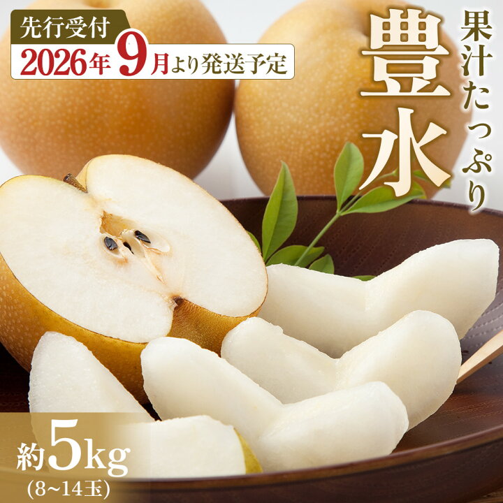 【砂糖不使用】ふるさと納税 大隅果樹園の玉東梨(旬の品種をお届けします) 約5kg(13-20玉前後) 予約受付中 フルーツ 秋 旬 熊本県玉名郡玉東町 《8月中旬-9月上.. 熊本県玉東町