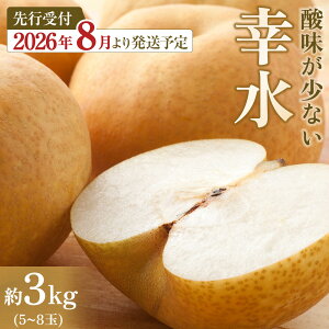 �y�ӂ邳�Ɣ[�Łz�y2026�N��s�\��^�n��ʎ����z���u�K���v��3kg�i5�`8�ʓ��j8�����{�`�������� | �t���[�c �ʕ� �������� �H�i �l�C �������� ��������