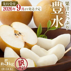 【ふるさと納税】【2026年先行予約／訳あり】【馬場果樹園】梨「豊水」約5kg（8～14玉入）順次発送