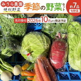 【ふるさと納税】【2026年発送分先行予約】みうら農園 季節の野菜セット おまかせ7品（晩秋野菜）【2026年10月下旬頃～順次】 | 野菜 やさい 食品 人気 おすすめ 送料無料