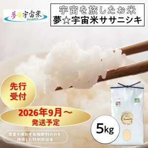 �y�ӂ邳�Ɣ[�Łz�y2026�N����s�\��z�y�ߘa8�N�Y�z�����F���ăT�T�j�V�L 5kg�`�F���𗷂������ā`�y2026�N9�����{�ȍ~���������z | �� �T�T�j�V�L �H�i �l�C �������� ��������