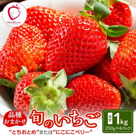 【ふるさと納税】OneBerry いちご農園 品種おまかせ 旬のいちご 250g× 4パック【2026年1月5日以降順次発送】 ｜ いちご イチゴ 苺 宮城県 限定 産地直送 産直 農家直送 角田市