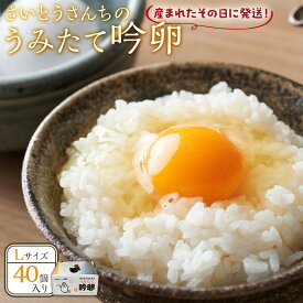 【ふるさと納税】さいとうさんちの＼うみたて出荷／ 卵 40個 たまご 玉子 タマゴ 新鮮 生卵 | たまご 玉子 タマゴ 鶏卵 国産 ごはん 卵かけごはん 卵焼き 玉子焼き オムライス 人気 おすすめ お取り寄せ グルメ 宮城