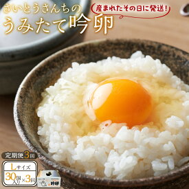 【ふるさと納税】【3回定期便】さいとうさんちのうみたて吟卵　30個入り たまご 玉子 タマゴ 新鮮 生卵 | 卵 たまご たまごかけごはん 鶏卵 食品 人気 おすすめ 送料無料