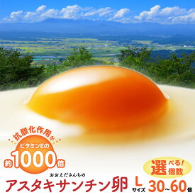 【ふるさと納税】 ＼高評価★5.00／卵 たまご 白卵 赤卵 Lサイズ 新鮮 御皇卵 アスタキサンチン 美肌 抗酸化 濃厚 こだわり 30個 50個 60個 おおえだファーム 白玉 赤玉 生卵 玉子 タマゴ たまごかけ ご飯 朝食 卵焼き 鶏卵 うまみ 食品 宮城県 角田市 送料無料