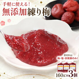 【ふるさと納税】無添加 練り梅 160g × 3個 | 手作り 梅干 梅干し うめぼし うめ干し 塩分 15% 〜 18% すっぱい 熱中症対策 お試し お取り寄せ 国産 人気 おすすめ 宮城