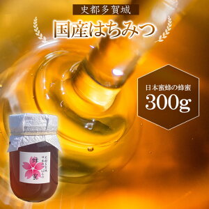 【ふるさと納税】史都多賀城日本みつばちのはちみつ300g 【04209-0029】 はちみつ 日本蜜蜂