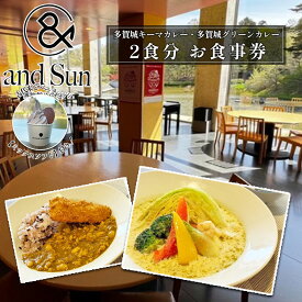 【ふるさと納税】多賀城キーマカレー・多賀城グリーンカレー 古代米とバニラミックスソフトクリーム付　お食事券　【04209-0255】