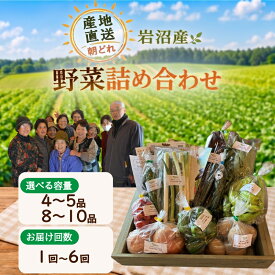 【ふるさと納税】[選べる容量/回数] 産地直送 朝どれ 新鮮野菜 詰め合わせ セット 定期便 頒布会 おまかせ 旬 季節の野菜 春野菜 夏野菜 秋野菜 冬野菜 根菜 ネギ 白菜 トマト 玉ねぎ ほうれん草 太陽と水と土 自然の恵みをたっぷり浴びた野菜 宮城県 岩沼産