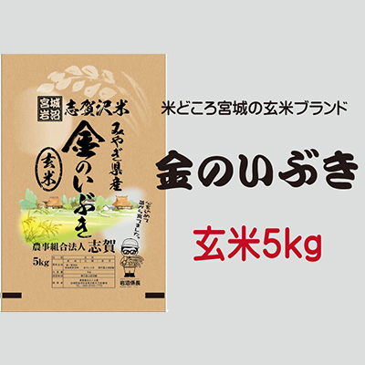 金のいぶき 玄米5kg 【お米・宮城県産】