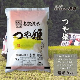 【ふるさと納税】米 つや姫 5kg 志賀沢米 岩沼産 お米 白米 精米 ブランド米 単一原料米 5キロ こめ コメ おこめ ご飯 ライス つやひめ 宮城県産つや姫 東北 宮城県産 宮城米 グルタミン酸 アスパラギン酸 宮城 宮城県 岩沼市　お届け：2025年9月中旬～2025年10月中旬