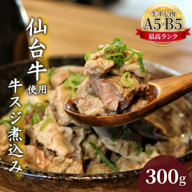【ふるさと納税】牛すじ煮込み 300g 仙台牛 国産 牛 国産牛 国産牛肉 牛肉 肉 お肉 牛すじ 牛筋 煮込み 惣菜 化学合成添加物不使用 保存料不使用 湯煎 湯せん ボイル 牛すじ肉 すじ肉 ご飯のお供 ごはんのお供 宮城 宮城県 岩沼市