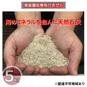 yӂ邳Ɣ[ŁzΊD 5kg VRykgp ƒ؉ K[fjO | 엿 VR ΊD엿 |pi K[fjOpi v^[͔| yk ΊD }OlVE ~l { {