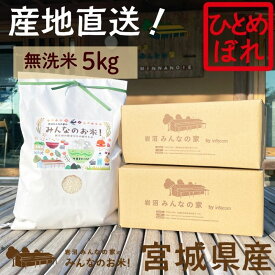 【ふるさと納税】無洗米 ひとめぼれ 5kg 岩沼みんなの家 みんなのお米! 米 精米 お米 白米 単一原料米 ブランド米 東北 震災 支援 こめ コメ おこめ ご飯 ごはん 5キロ 産地直送 送料無料 宮城県産 宮城 宮城県 岩沼市