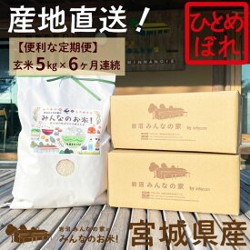 【ふるさと納税】玄米 定期便 6ヶ月 ひとめぼれ 5kg 合計 30kg 岩沼みんなの家 みんなのお米! 米 お米 単一原料米 ブランド米 東北 震災 支援 こめ おこめ ご飯 ごはん 5キロ 6か月 6ヵ月 産地直送 送料無料 宮城県産 宮城 宮城県 岩沼市 定期 6回