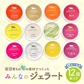 【ふるさと納税】岩沼みんなの家の「みんなのジェラート」12個セット詰め合わせ　【お菓子・ジェラート】