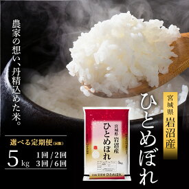 【ふるさと納税】【先行予約/選べる定期便】令和7年産新米 ひとめぼれ 5kg 米 岩沼産 お米 白米 精米 ブランド米 単一原料米 5キロ こめ コメ おこめ ご飯 ライス 東北 宮城県産 宮城県産ひとめぼれ 宮城米 宮城 宮城県 岩沼市　お届け：2025年10月中旬から順次お届け