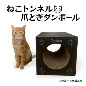 yӂ邳Ɣ[Łz˂gl`Cat Tonneru House`