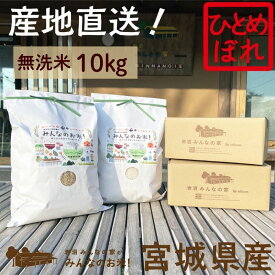 【ふるさと納税】米 ひとめぼれ 無洗米 10kg ご飯 Aランク米