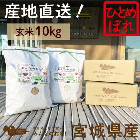 【ふるさと納税】米 ひとめぼれ 玄米 10kg ご飯 Aランク米