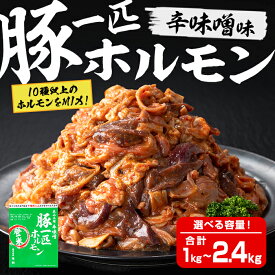 【ふるさと納税】豚一匹ホルモン 辛味噌 1kg〜2.4kg 選べる容量！ 国産 豚肉 肉 お肉 辛みそ 味付き ホルモン おつまみ 冷凍【株式会社佐利】tm233・tm372