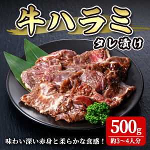 yӂ邳Ɣ[Łzn~ IWi^ 500g(3`4l) 1cm ؂Jbg  n~   ⓀyЍztm251