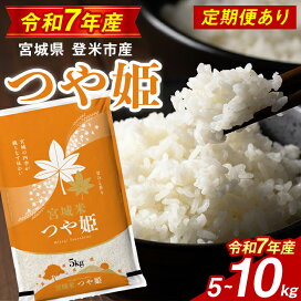 楽天市場】【ふるさと納税】【最短14営業日以内に発送予定】≪令和7 