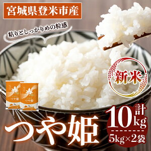 yӂ邳Ɣ[Łzs\I2025N10ȍ~\聄ߘa7NY Vā P 10kg (5kg×2) oĎsY    R   ͂ ɂ ٓ yoăCXT[rX