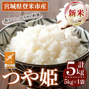 yӂ邳Ɣ[Łzs\I2025N10ȍ~\聄ߘa7NY Vā P 5kg (5kg×1) oĎsY    R   ͂ ɂ ٓ yoăCXT[rX