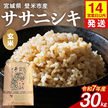 楽天市場】米 萌えみのり 玄米30kg 令和7年度 宮城県北産 【沖縄 