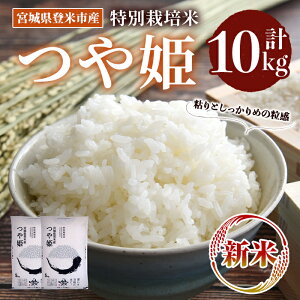 yӂ邳Ɣ[Łzs\I2025N10ȍ~\聄ߘa7NY Vā ʍ͔| P 10kg (5kg×2) oĎsY    R   ͂ ɂ ٓ yoăC