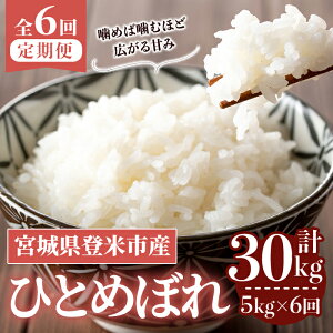 yӂ邳Ɣ[Łzs\I2025N10甭Jn\聄ߘa7NYy6ցzЂƂ߂ڂ v30kg (5kg×6z) oĎsY    R   ͂ ɂ ٓ 6