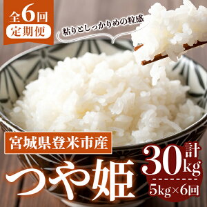 yӂ邳Ɣ[Łzs\I2025N10甭Jn\聄ߘa7NYy6ցzP v30kg (5kg×6z) oĎsY    R   ͂ ɂ ٓ 6 