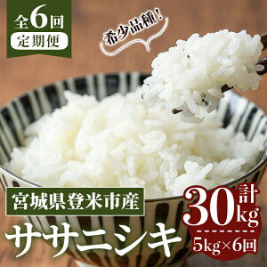 yӂ邳Ɣ[Łzs\I2025N10甭Jn\聄ߘa7NYy6ցzTTjVL v30kg (5kg×6z) oĎsY    R   ͂ ɂ ٓ 6