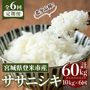 yӂ邳Ɣ[Łzs\I2025N10甭Jn\聄ߘa7NYy6ցzTTjVL v60kg (10kg×6z) oĎsY    R   ͂ ɂ ٓ 6