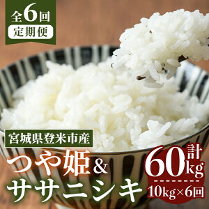 yӂ邳Ɣ[Łzs\I2025N10甭Jn\聄ߘa7NYy6ցzTTjVLEP v60kg (e5kg×6z) oĎsY    R   ͂ ɂ 